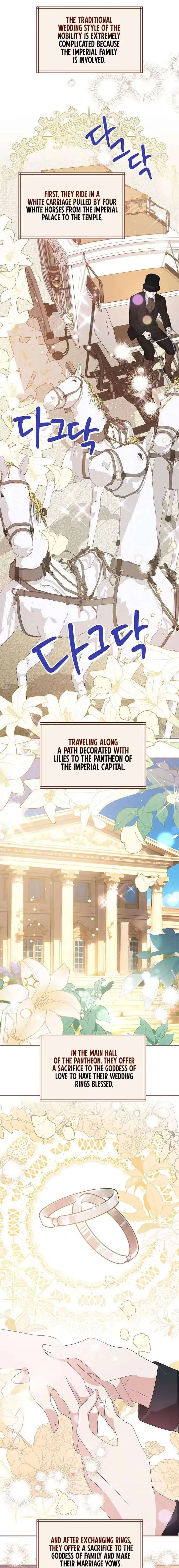 I Reincarnated as the Princess of a Country That Is Going to Destroyed by Male Protagonist Chapter 7 page 6