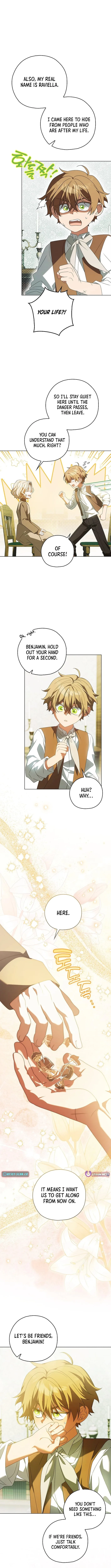 Looking For The Villainess’s Contract Husband Chapter 17 page 12