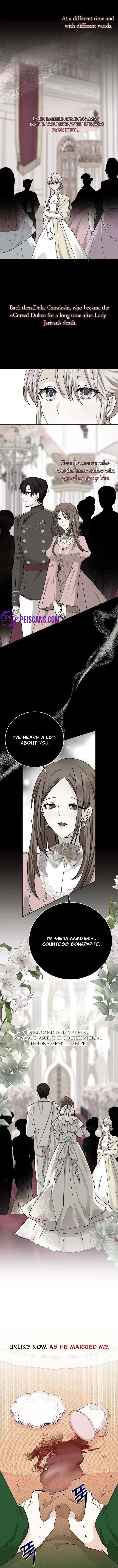 Husband Replacement Chapter 19 page 7