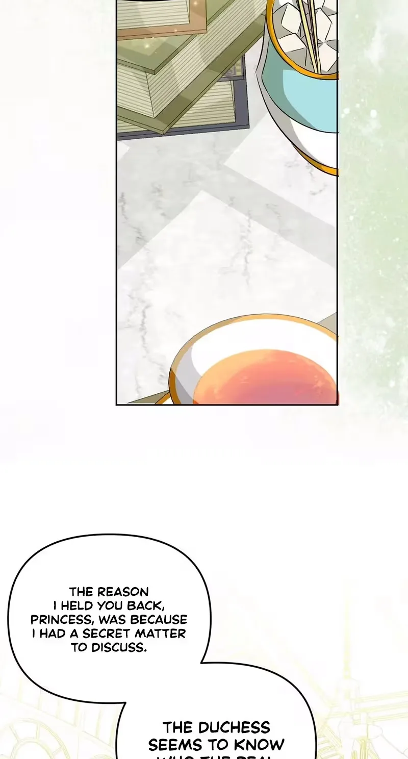 I Reincarnated as the Princess of a Country That Is Going to Destroyed by Male Protagonist Chapter 29 page 7