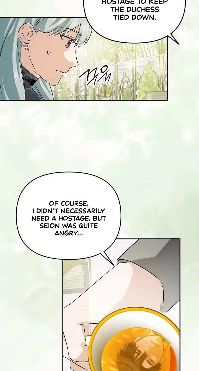 I Reincarnated as the Princess of a Country That Is Going to Destroyed by Male Protagonist Chapter 29 page 9