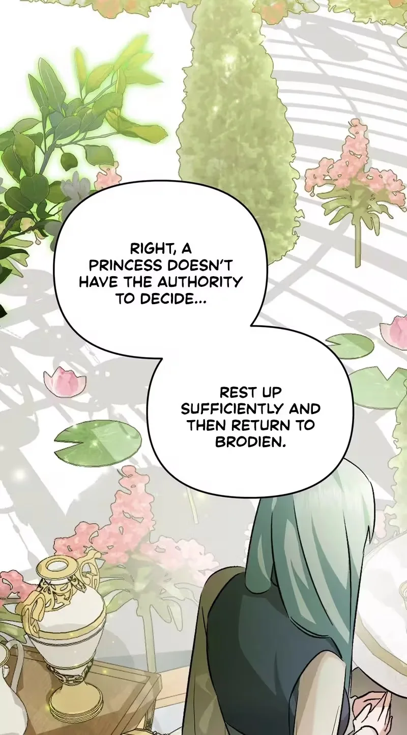 I Reincarnated as the Princess of a Country That Is Going to Destroyed by Male Protagonist Chapter 29 page 17