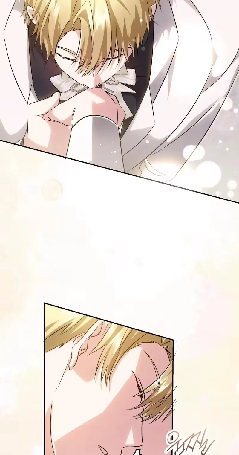 I Reincarnated as the Princess of a Country That Is Going to Destroyed by Male Protagonist Chapter 29 page 42