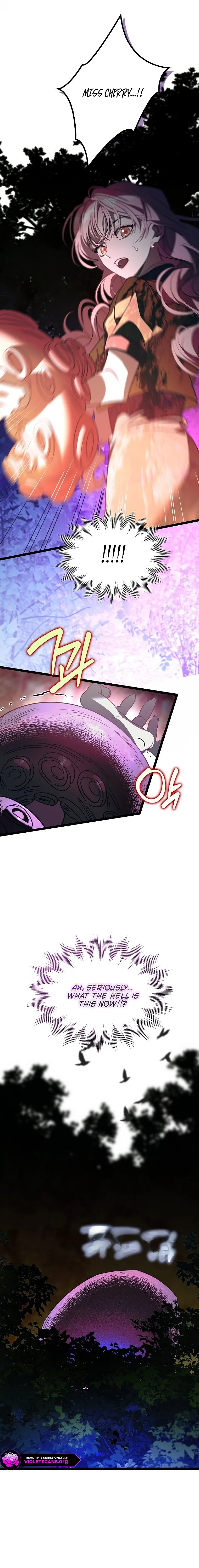 The male leads are trapped in my house Chapter 66 page 21