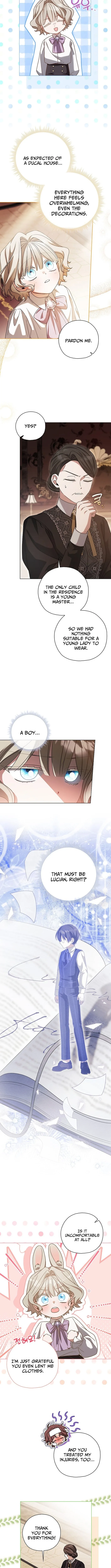 Looking For The Villainess’s Contract Husband Chapter 9 page 5