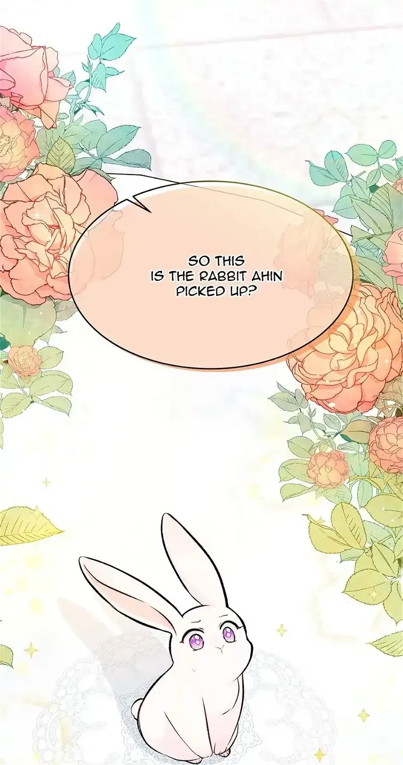 Little Rabbit and the Big Bad Leopard Chapter 5 page 1