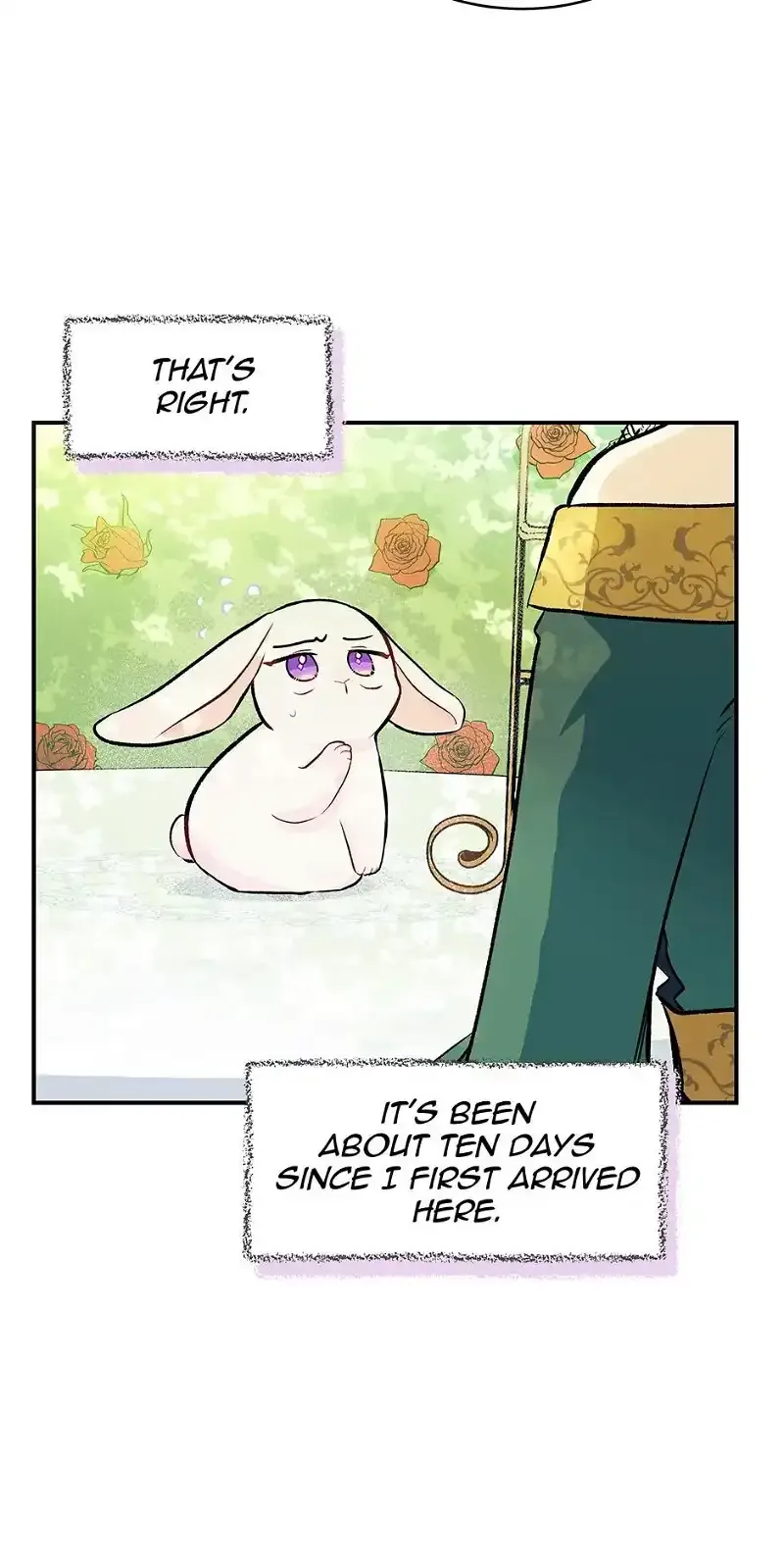 Little Rabbit and the Big Bad Leopard Chapter 5 page 11