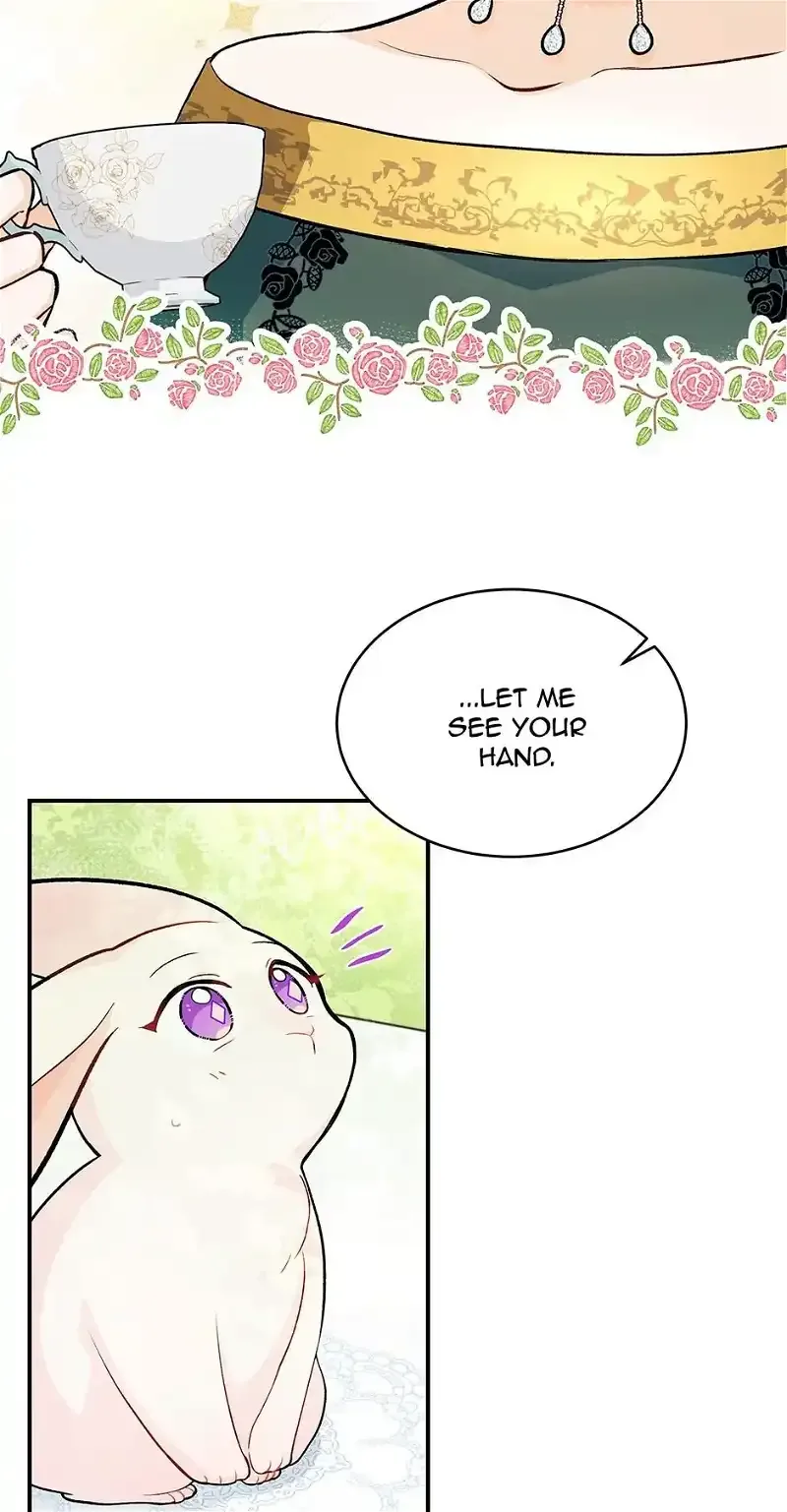 Little Rabbit and the Big Bad Leopard Chapter 5 page 13
