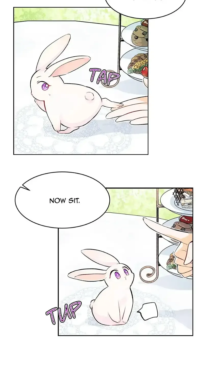 Little Rabbit and the Big Bad Leopard Chapter 5 page 15