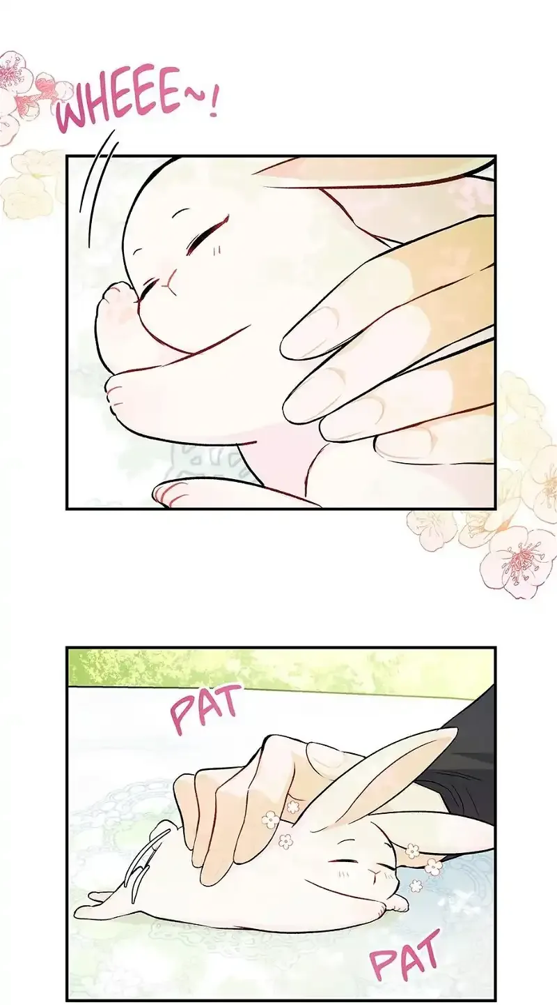 Little Rabbit and the Big Bad Leopard Chapter 5 page 17