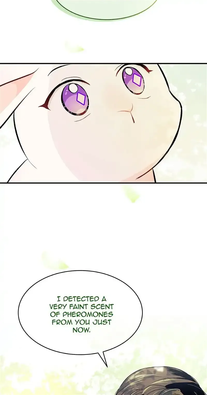 Little Rabbit and the Big Bad Leopard Chapter 5 page 29