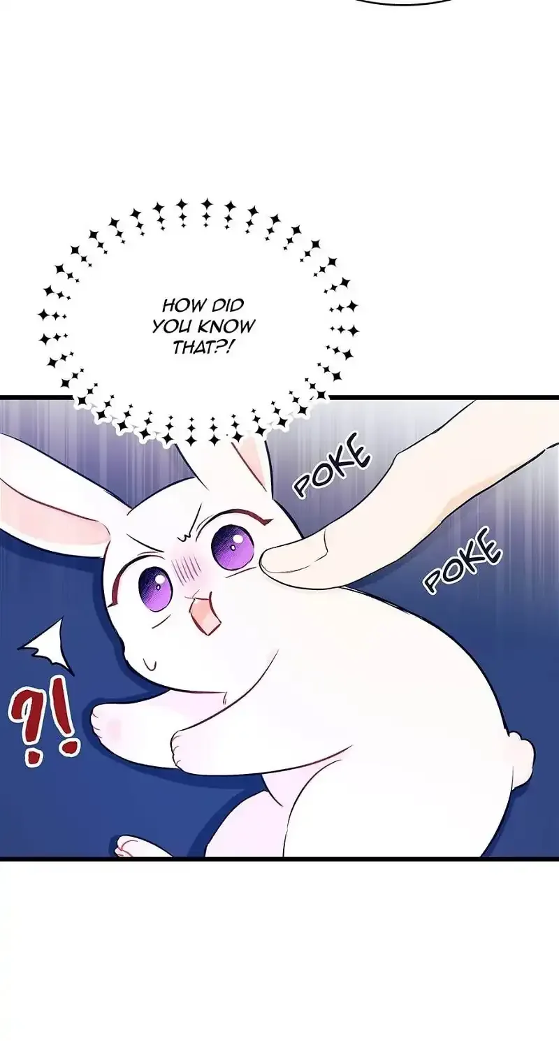 Little Rabbit and the Big Bad Leopard Chapter 10 page 20