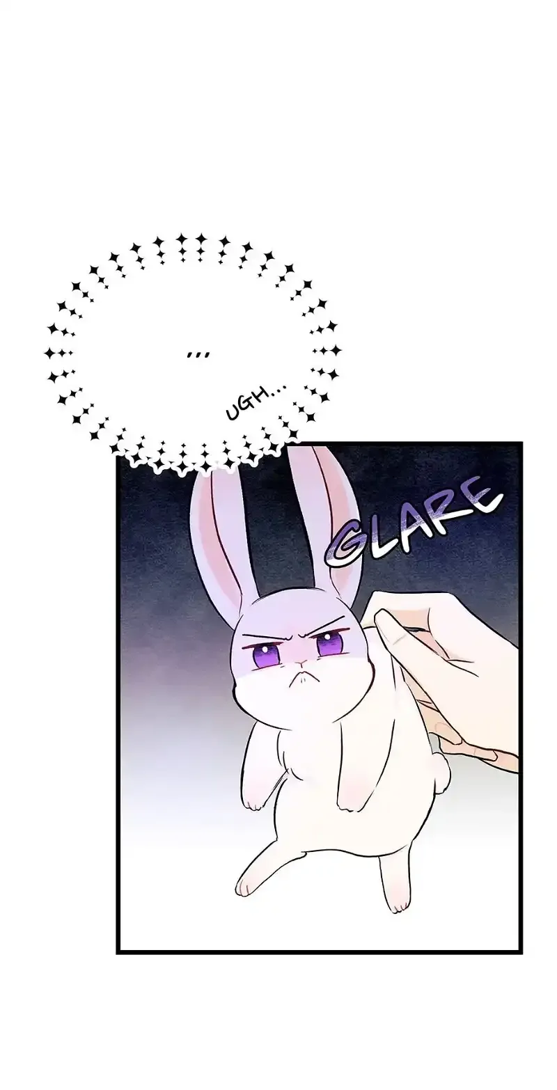 Little Rabbit and the Big Bad Leopard Chapter 10 page 30