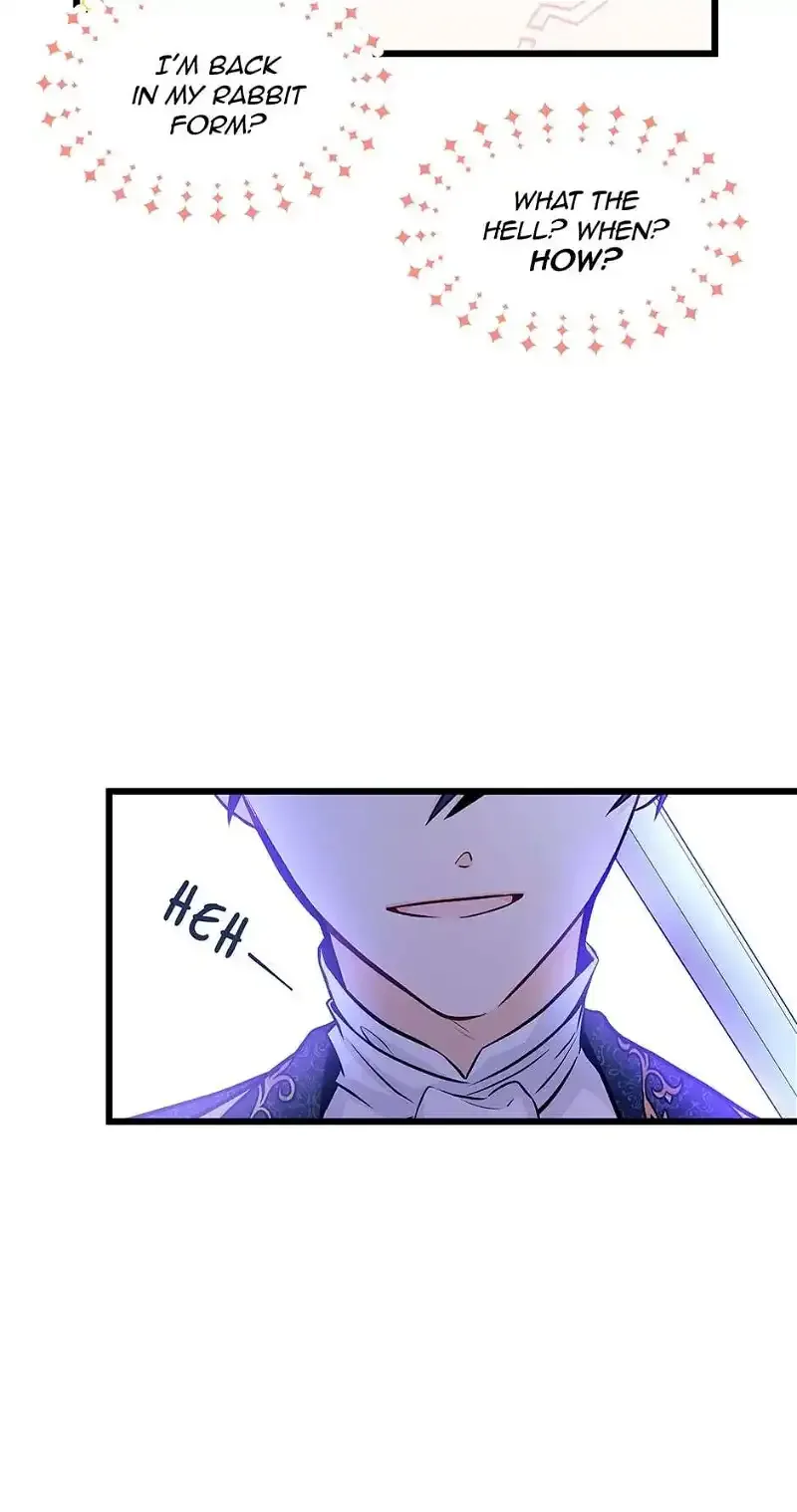Little Rabbit and the Big Bad Leopard Chapter 21 page 17