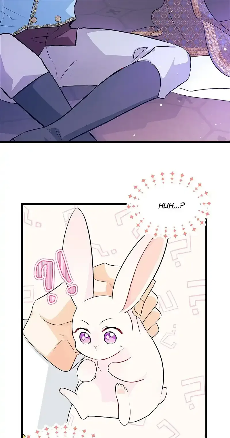 Little Rabbit and the Big Bad Leopard Chapter 21 page 16