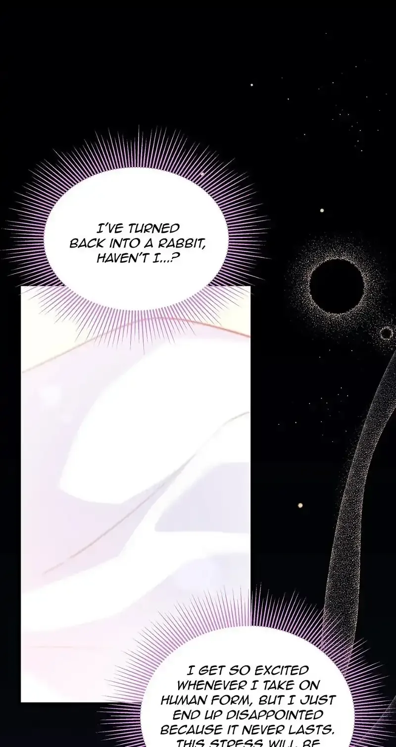 Little Rabbit and the Big Bad Leopard Chapter 41 page 10
