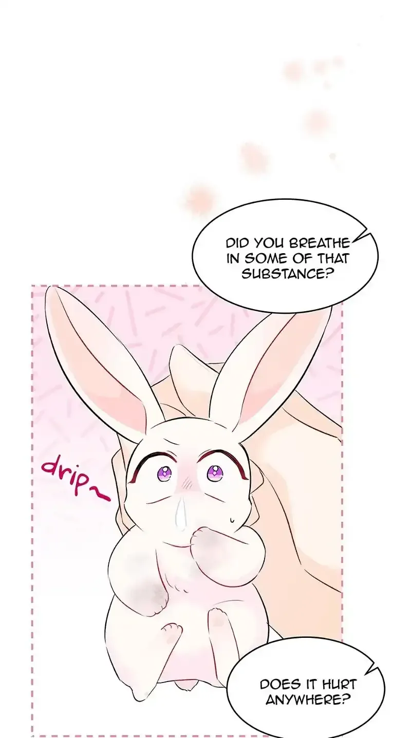 Little Rabbit and the Big Bad Leopard Chapter 35 page 46