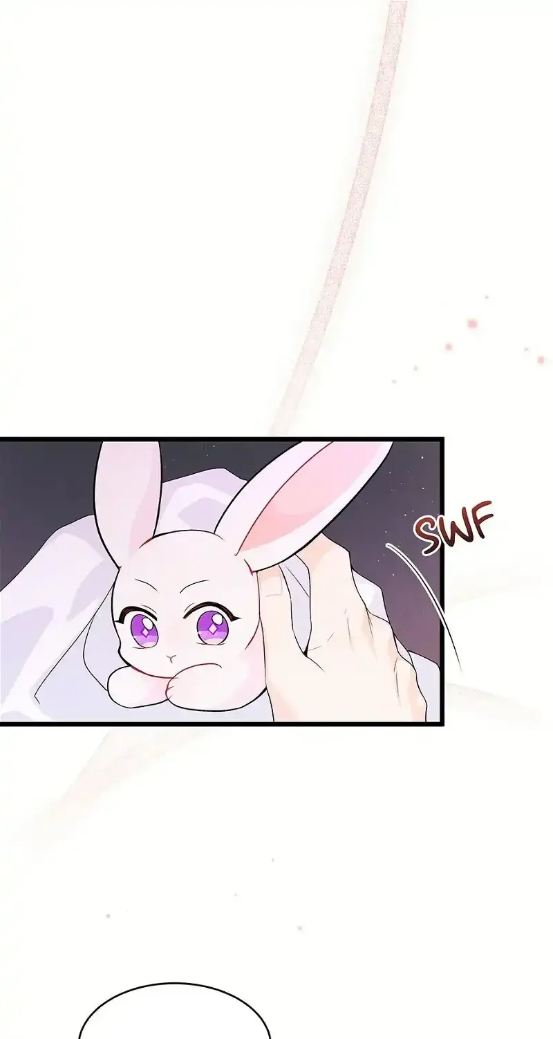 Little Rabbit and the Big Bad Leopard Chapter 36 page 49