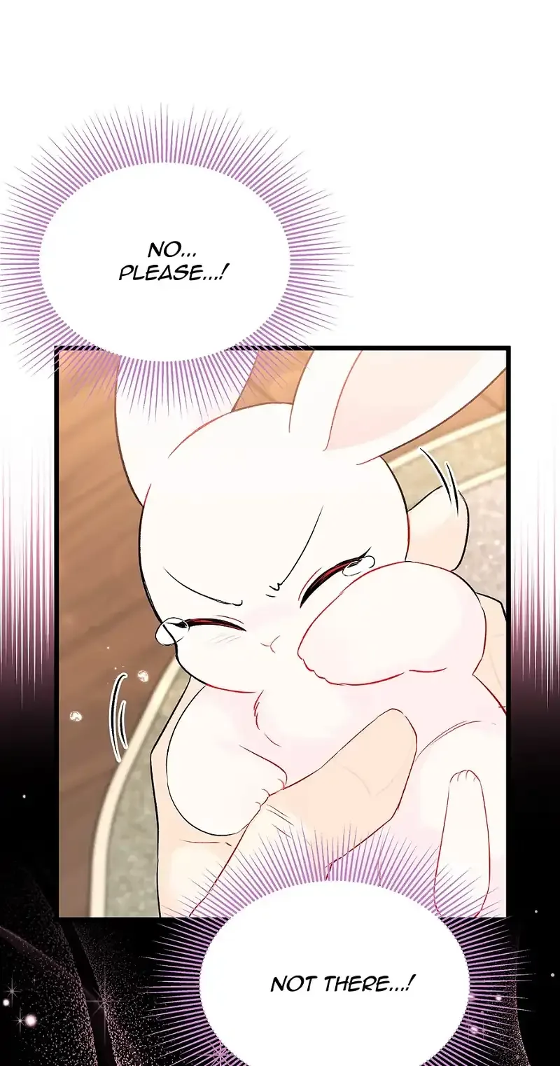 Little Rabbit and the Big Bad Leopard Chapter 48 page 61