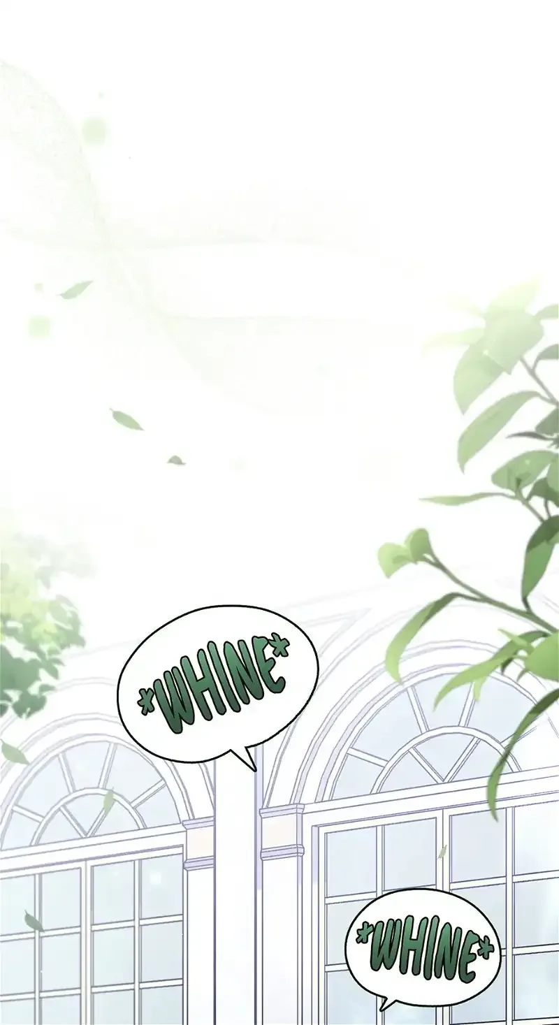 Little Rabbit and the Big Bad Leopard Chapter 48 page 66