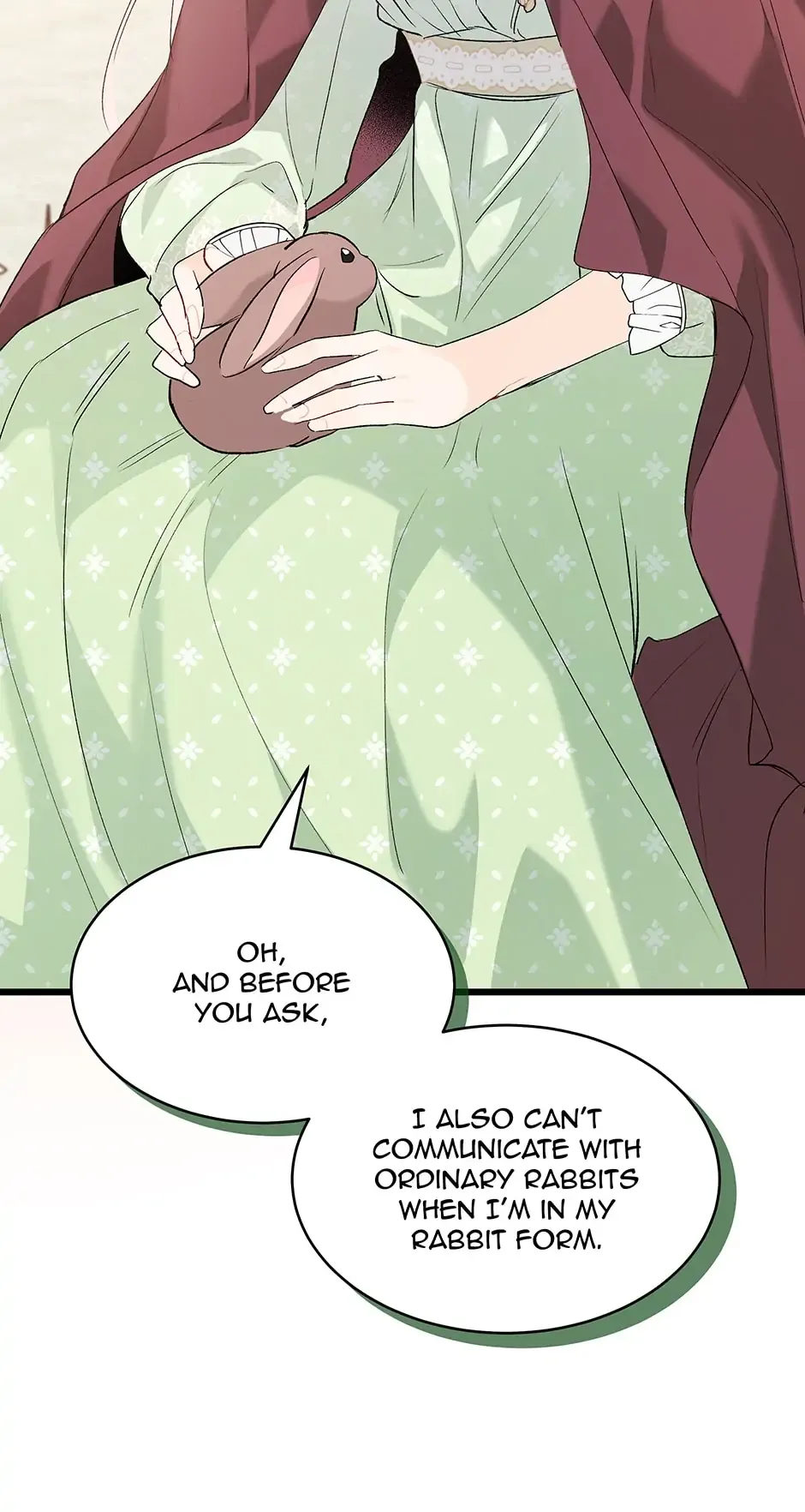 Little Rabbit and the Big Bad Leopard Chapter 75 page 78