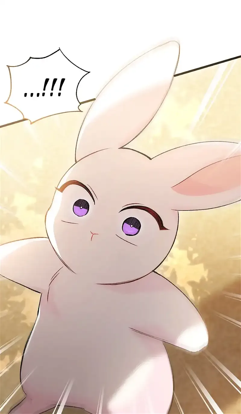 Little Rabbit and the Big Bad Leopard Chapter 82 page 73