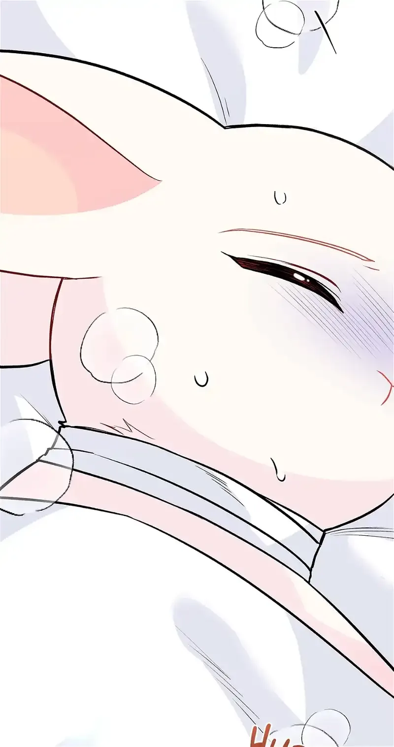 Little Rabbit and the Big Bad Leopard Chapter 122 page 16