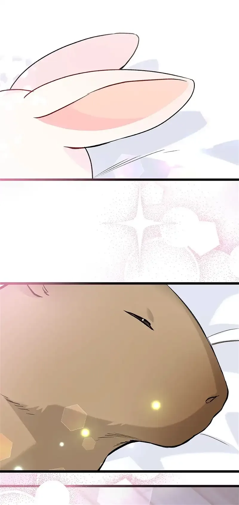 Little Rabbit and the Big Bad Leopard Chapter 122 page 62