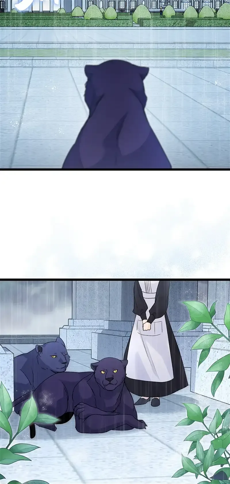 Little Rabbit and the Big Bad Leopard Chapter 121 page 28