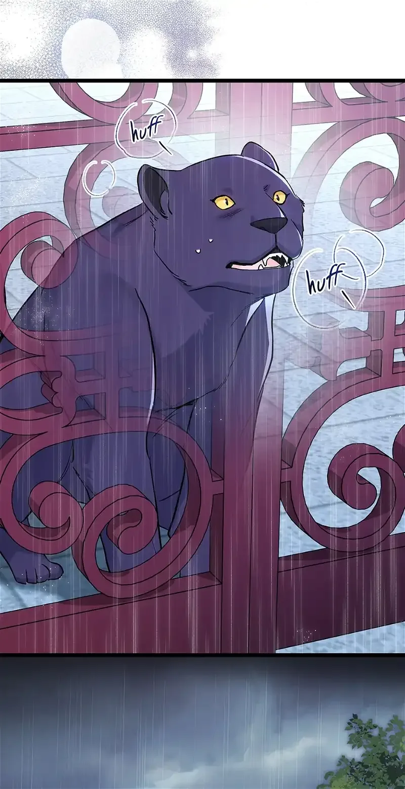 Little Rabbit and the Big Bad Leopard Chapter 121 page 58