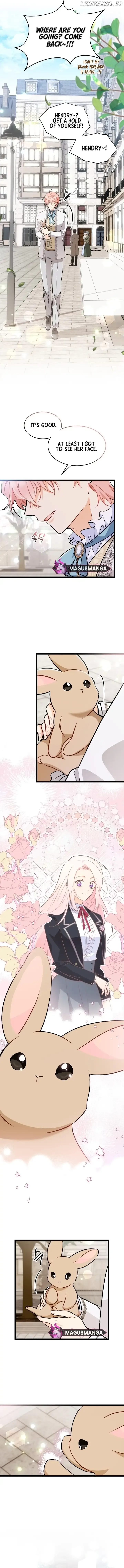 Little Rabbit and the Big Bad Leopard Chapter 145 page 11