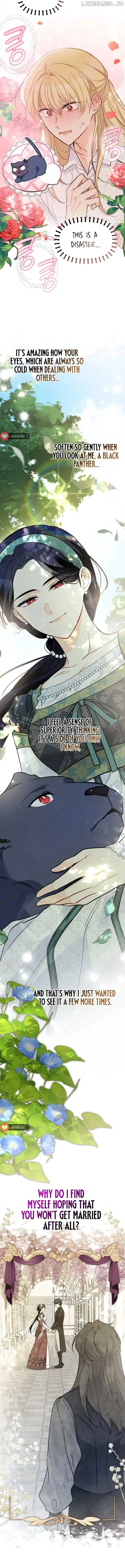 Little Rabbit and the Big Bad Leopard Chapter 153 page 12