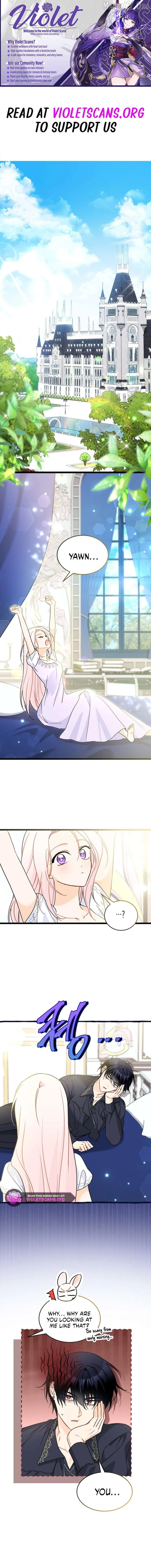 Little Rabbit and the Big Bad Leopard Chapter 200 page 1
