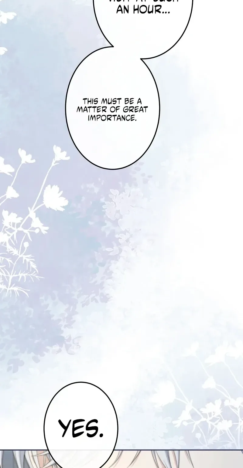 An Affair with My Knight Chapter 41 page 81
