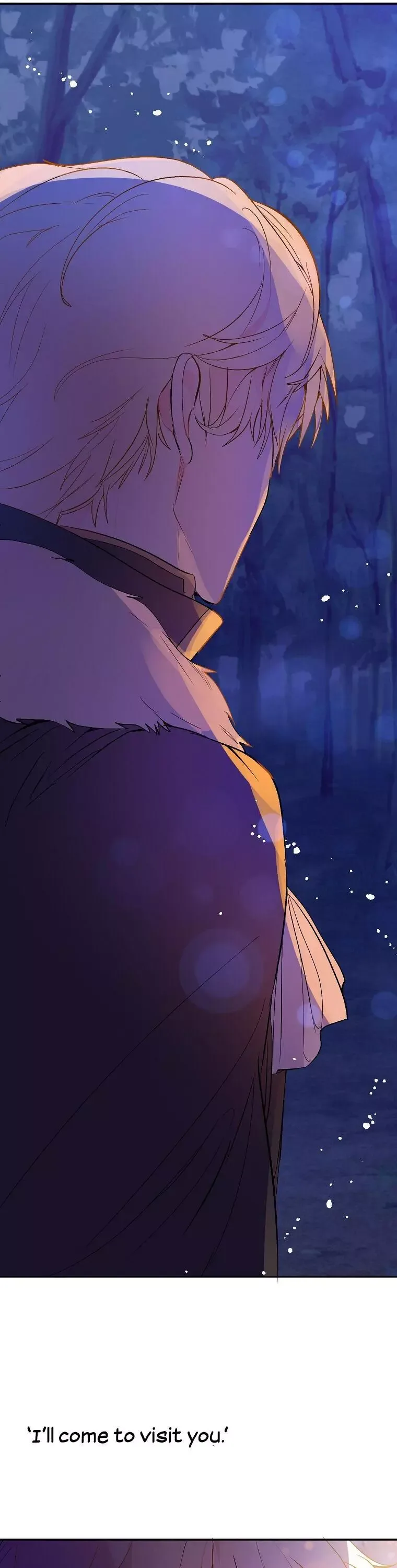 I Didn't Mean to Seduce the Male Lead Chapter 2 page 27