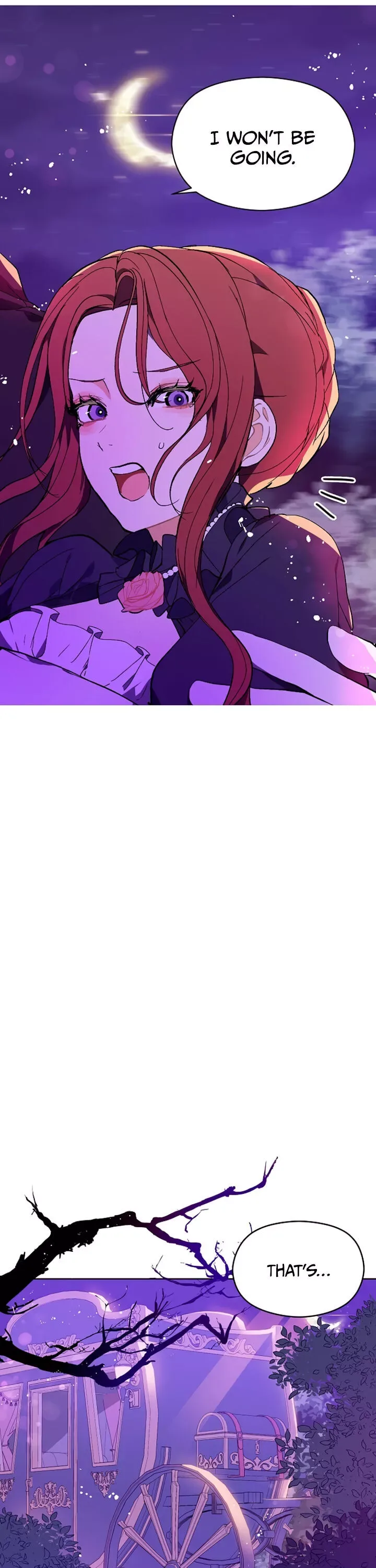 I Didn't Mean to Seduce the Male Lead Chapter 11 page 13