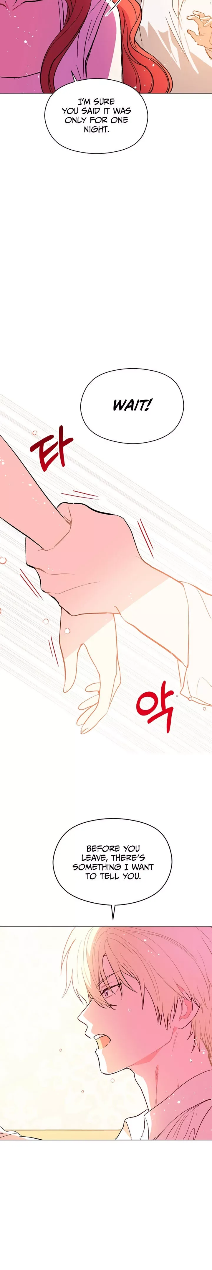 I Didn't Mean to Seduce the Male Lead Chapter 13 page 8