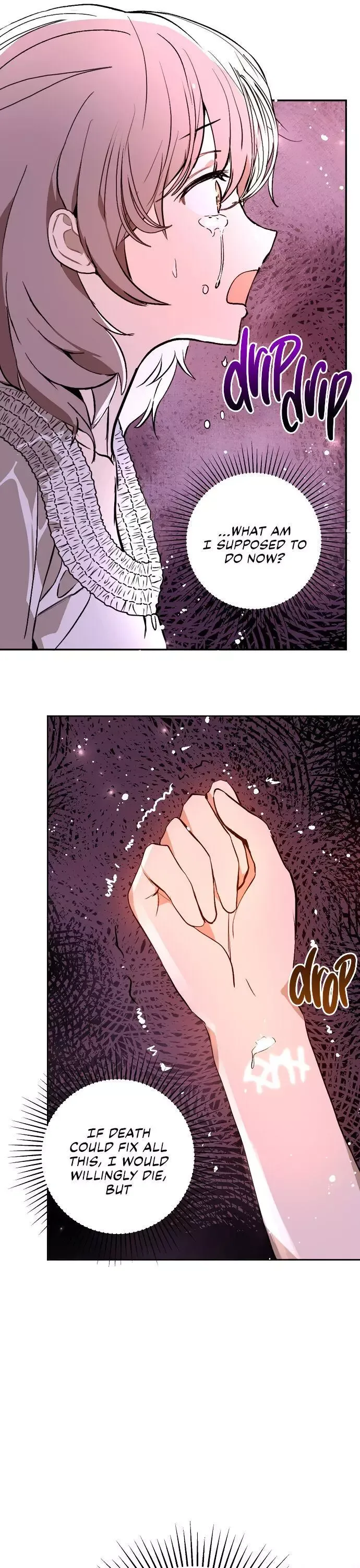 I Didn't Mean to Seduce the Male Lead Chapter 22 page 17