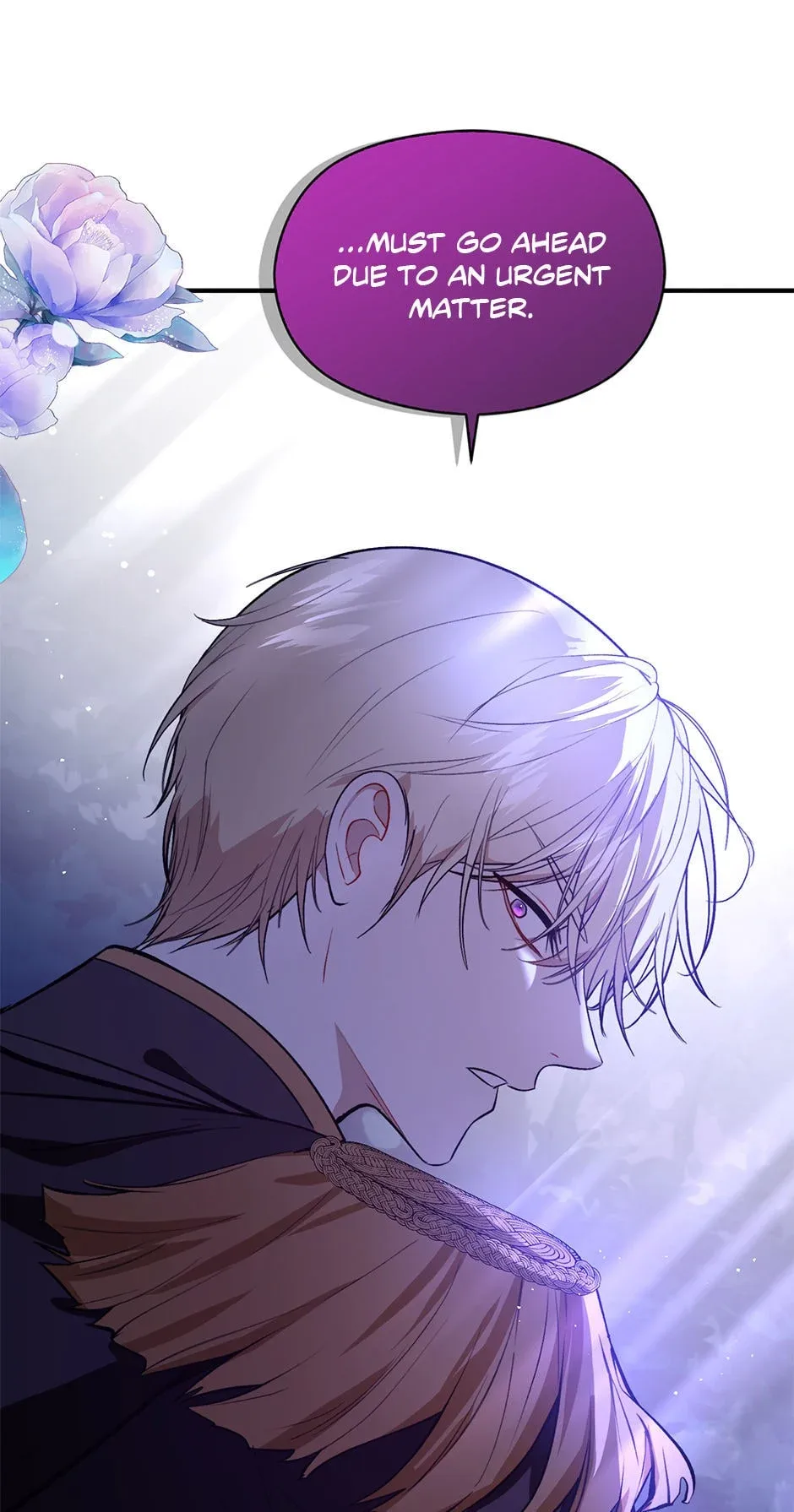 I Didn't Mean to Seduce the Male Lead Chapter 53 page 13