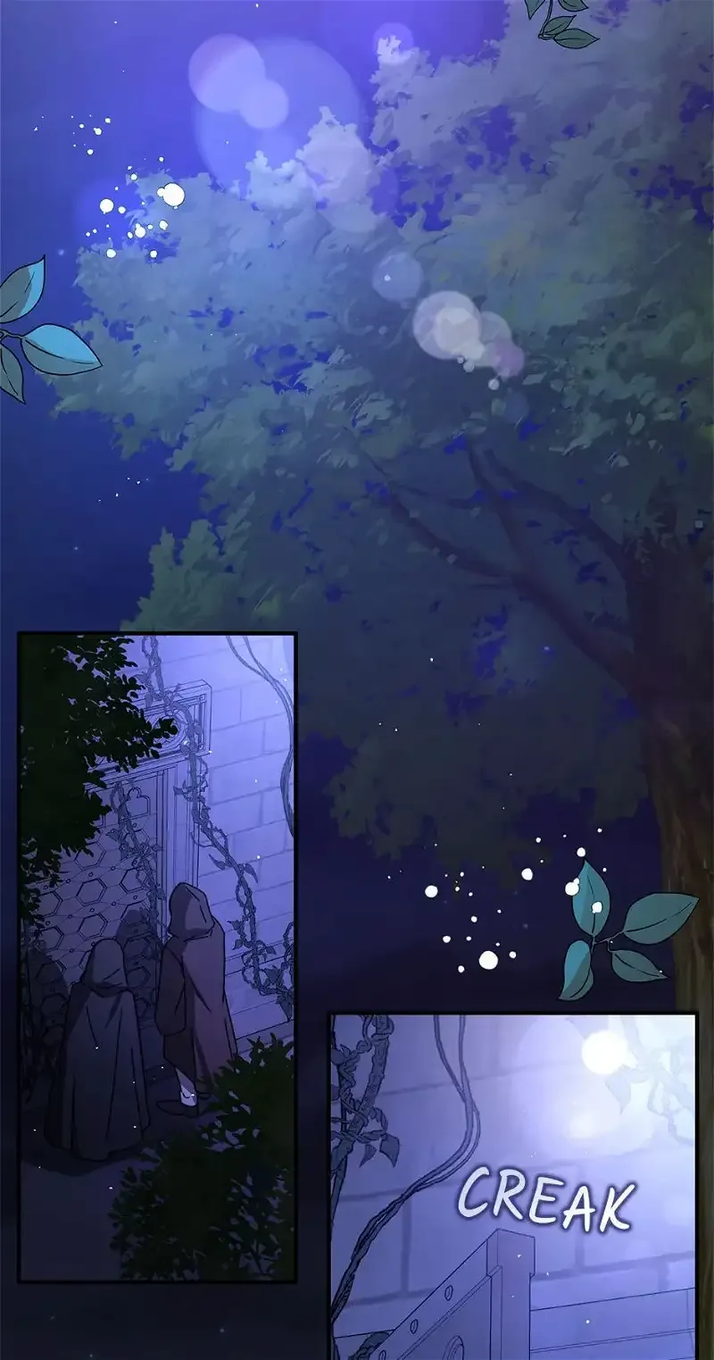 I Didn't Mean to Seduce the Male Lead Chapter 56 page 2