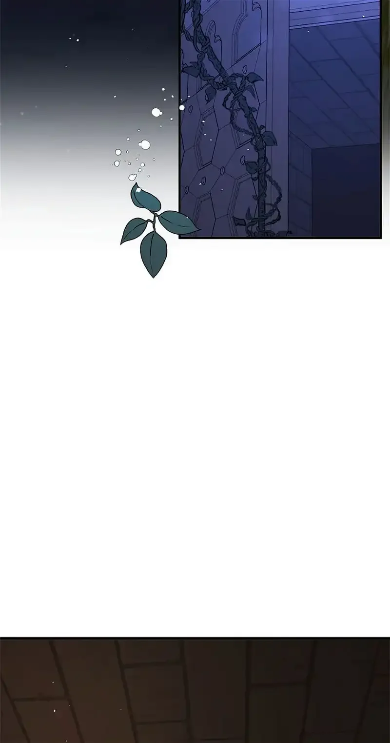 I Didn't Mean to Seduce the Male Lead Chapter 56 page 3