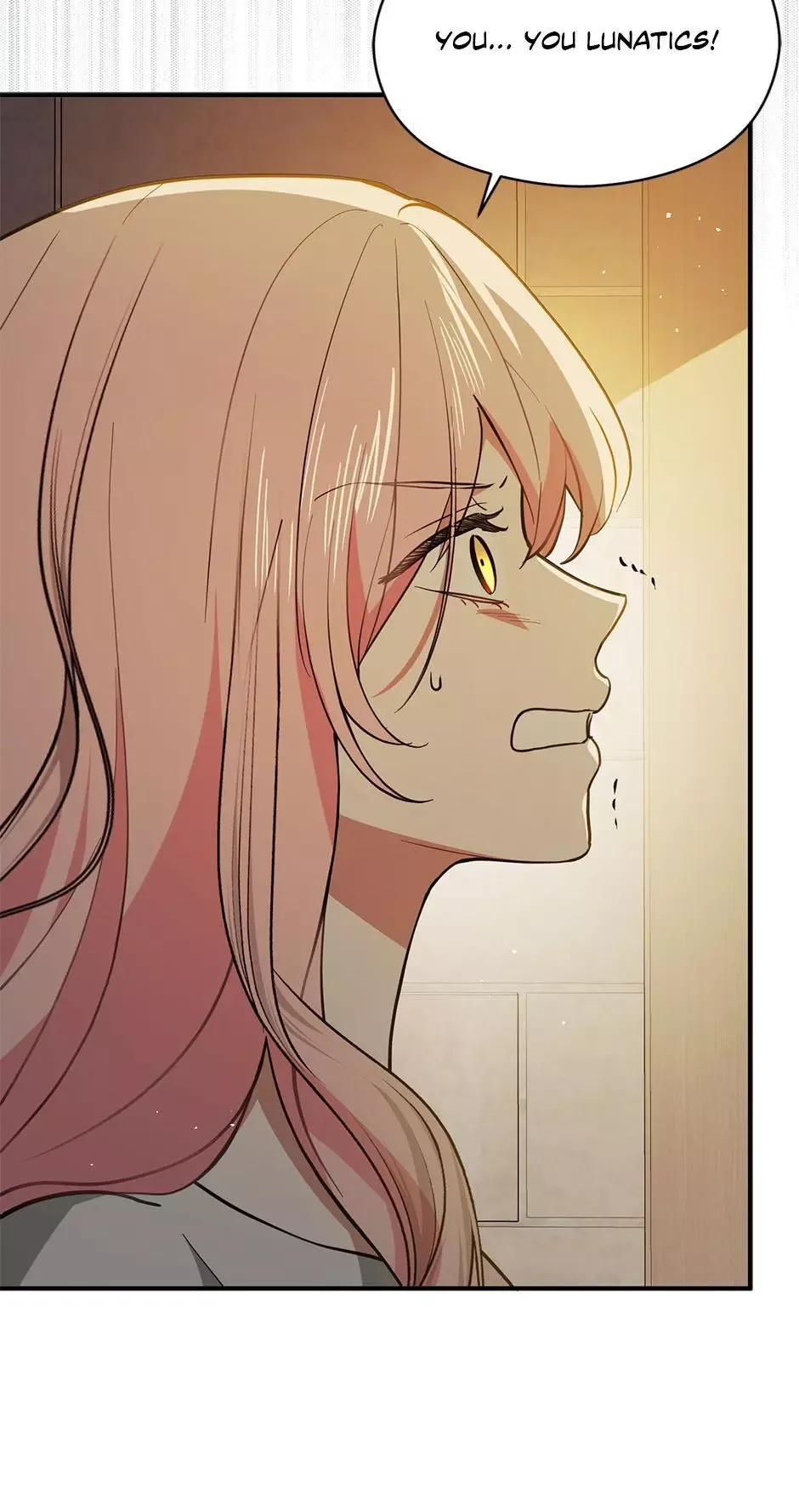 I Didn't Mean to Seduce the Male Lead Chapter 116 page 29