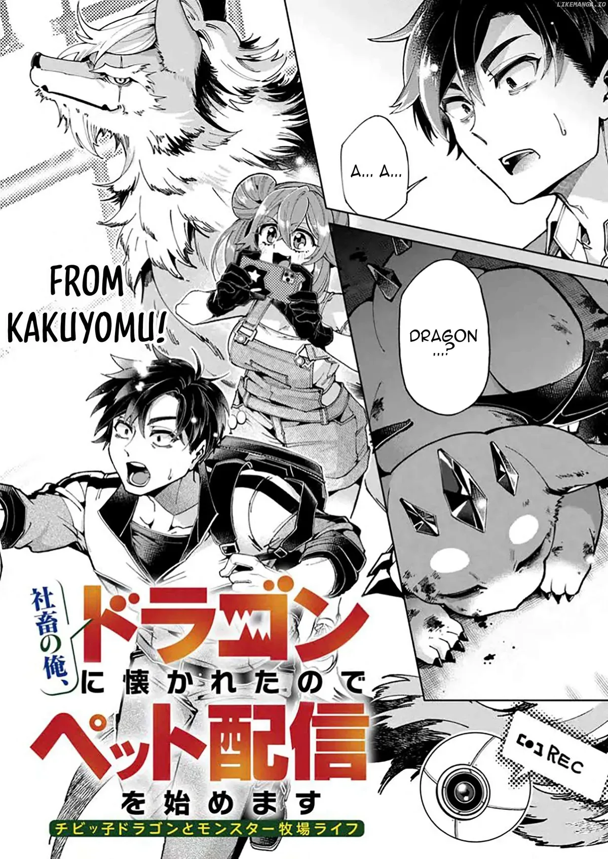 I’m an Overworked Corporate Slave, but After Being Embraced by a Dragon, I Started Streaming My Pet Life With a Tiny Dragon and Monsters on a Farm Chapter 1 page 4