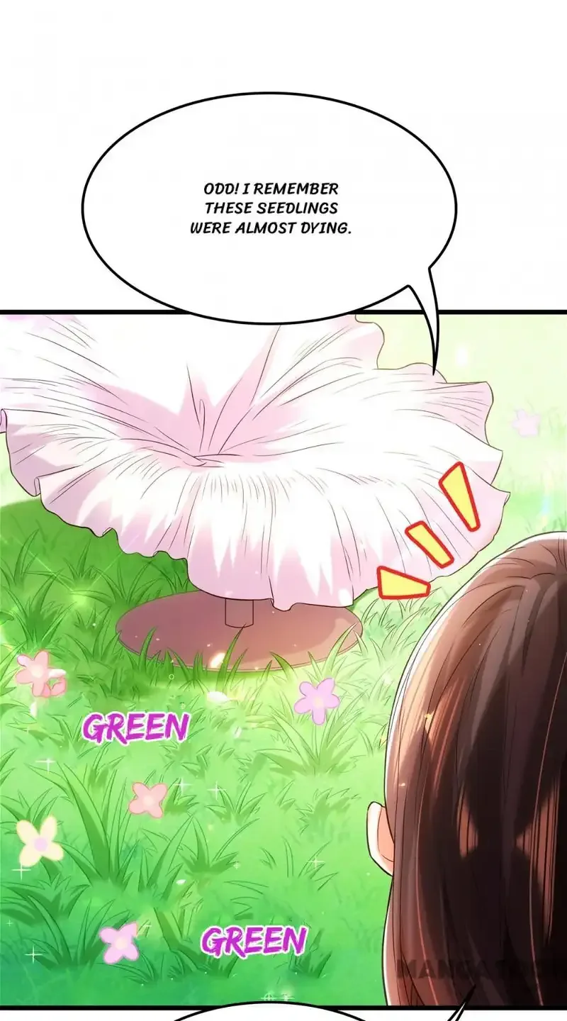 Spicy Wife's Reborn World Chapter 97 page 53