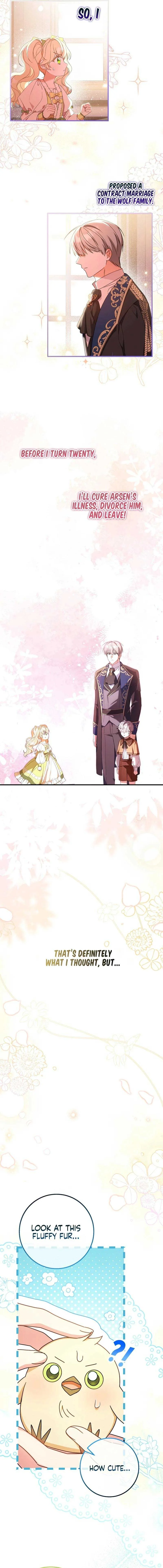 The Beloved New Daughter-in-law Of The Wolf Mansion Chapter 0 page 4
