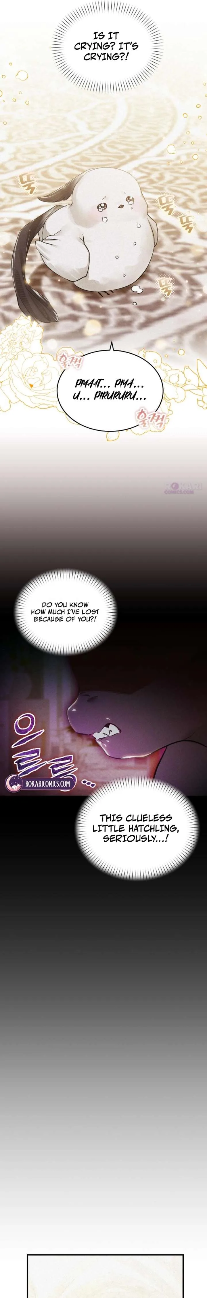 I Became a Hatchling Chapter 5 page 6