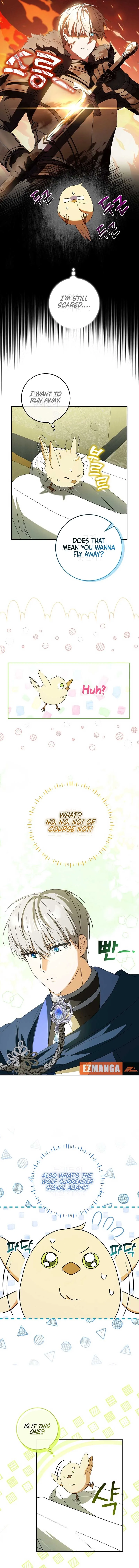 The Beloved New Daughter-in-law Of The Wolf Mansion Chapter 5 page 8