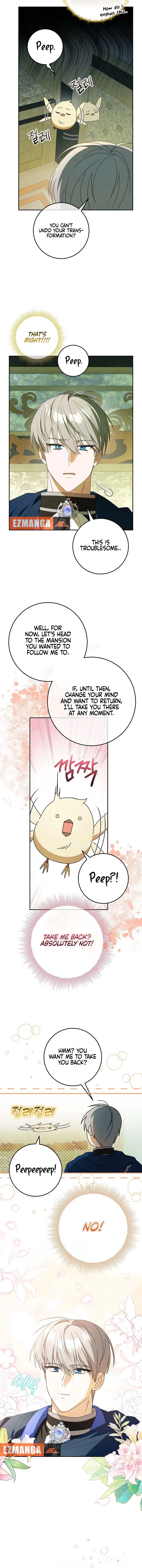 The Beloved New Daughter-in-law Of The Wolf Mansion Chapter 5 page 10