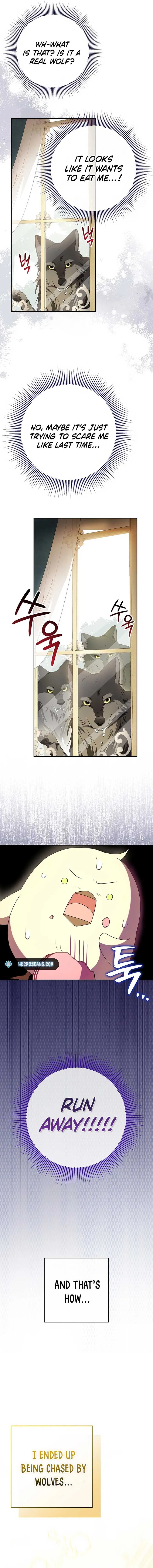 The Beloved New Daughter-in-law Of The Wolf Mansion Chapter 8 page 10