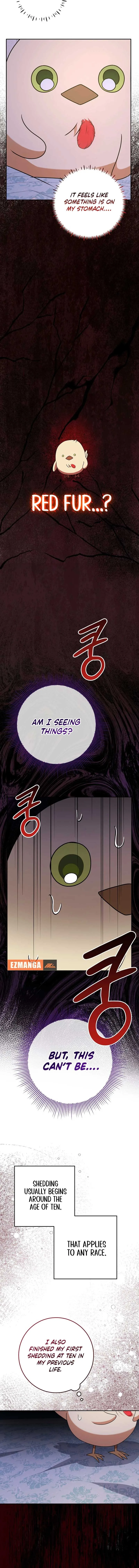 The Beloved New Daughter-in-law Of The Wolf Mansion Chapter 14 page 11